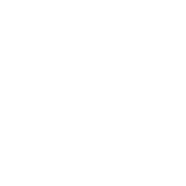 Ellipse 21